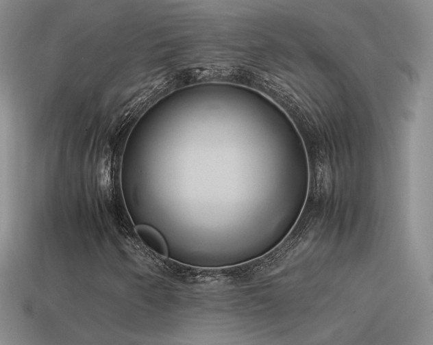 X0000114151250200910151536