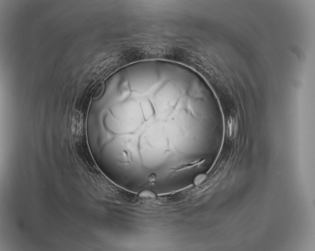 X0000114151251200910151536