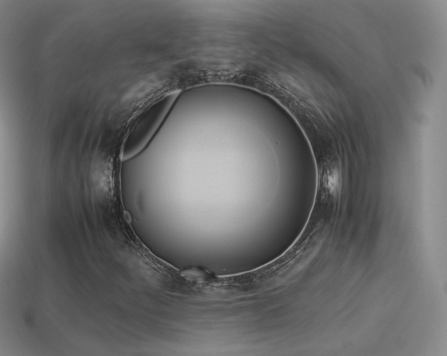 X0000114151252200910151536