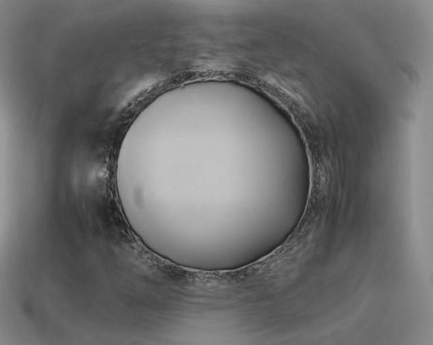 X0000114151254200910151536