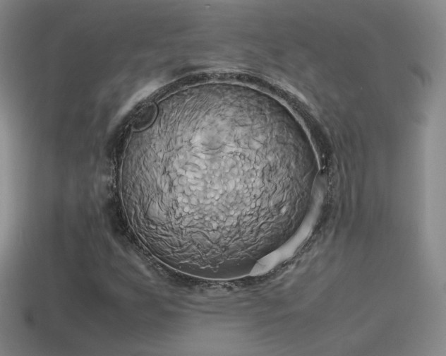 X0000114151255200910151536