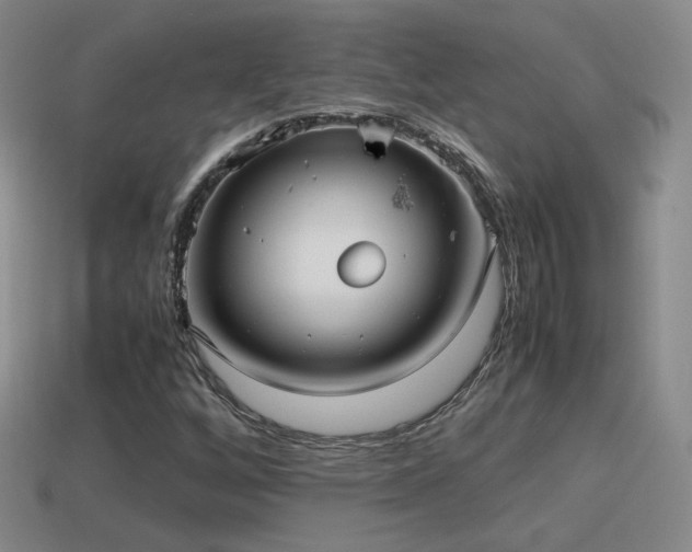 X0000114151256200910151536