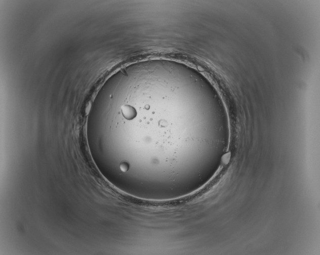X0000114151257200910151536