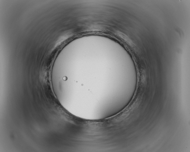 X0000114151258200910151536
