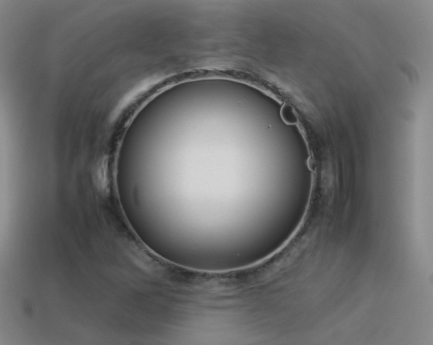 X0000114151262200910151536