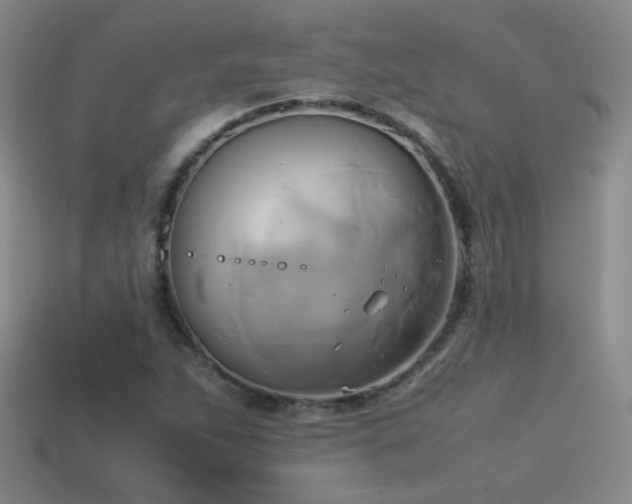 X0000114151263200910151536