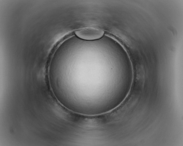 X0000114151264200910151536