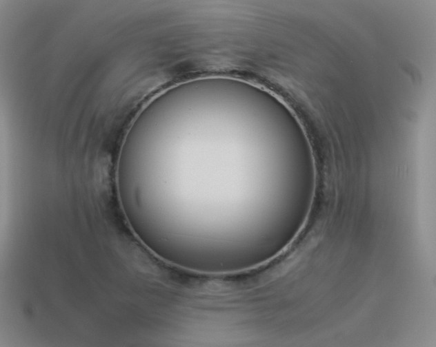 X0000114151265200910151536