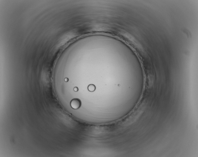 X0000114151266200910151536