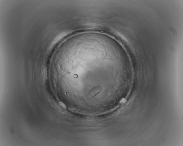X0000114151267200910151536