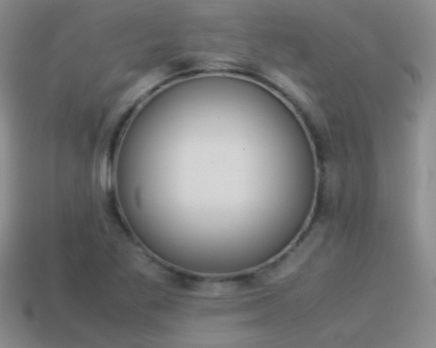 X0000114151269200910151536
