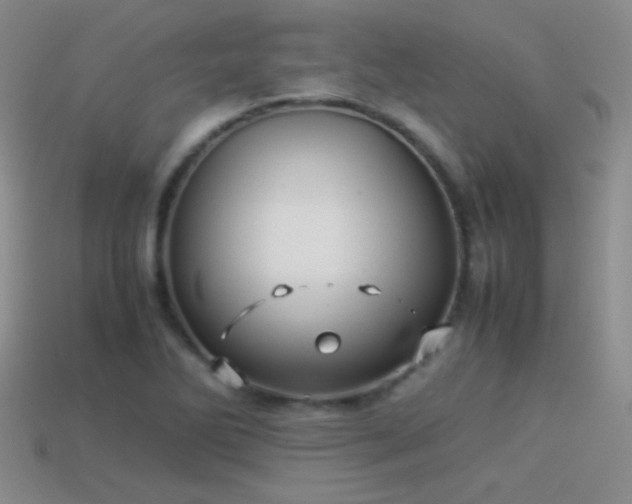 X0000114151270200910151536