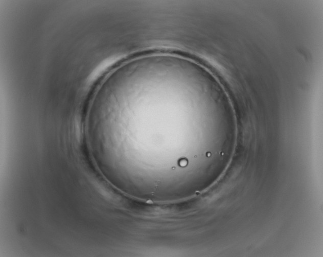 X0000114151271200910151536