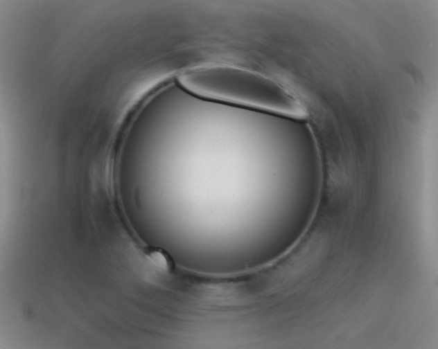 X0000114151272200910151536