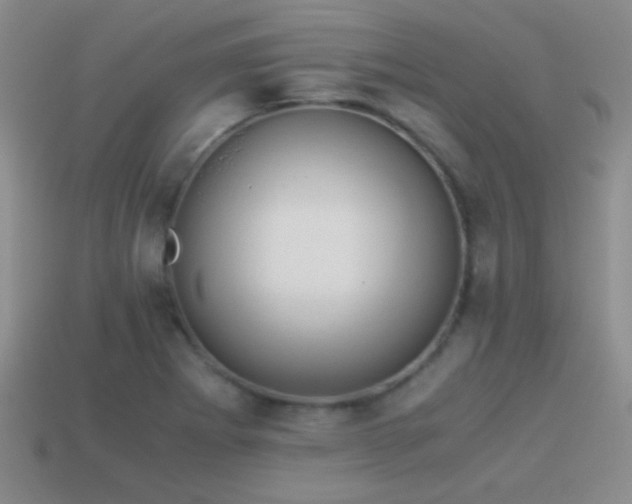 X0000114151273200910151536