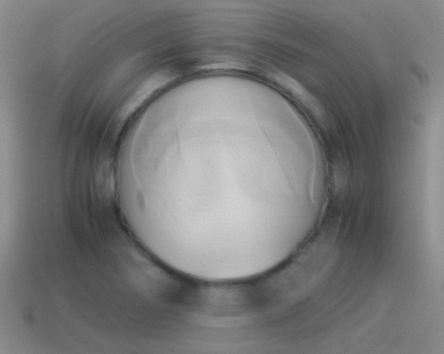 X0000114151274200910151536