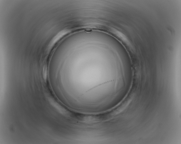 X0000114151275200910151536