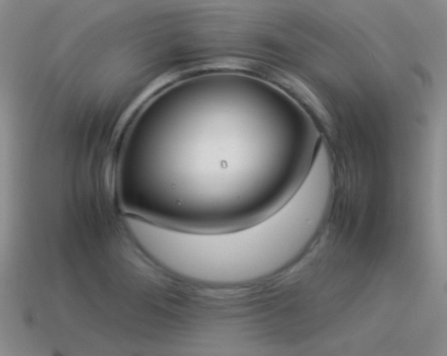 X0000114151276200910151536