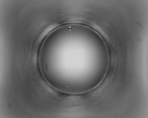 X0000114151277200910151536