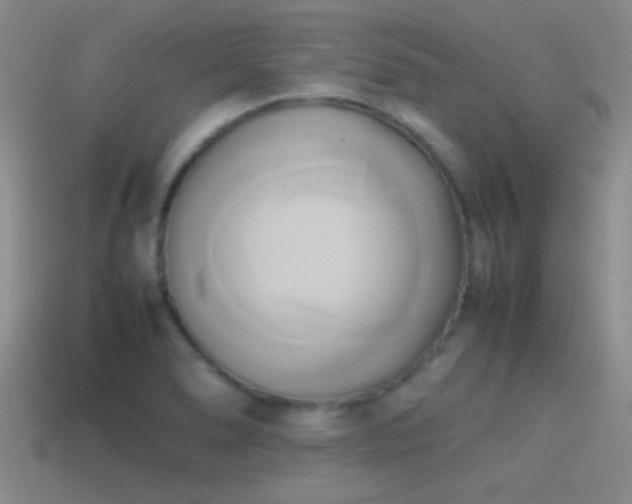 X0000114151278200910151536