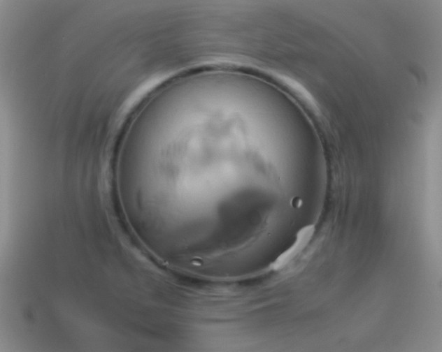 X0000114151279200910151536