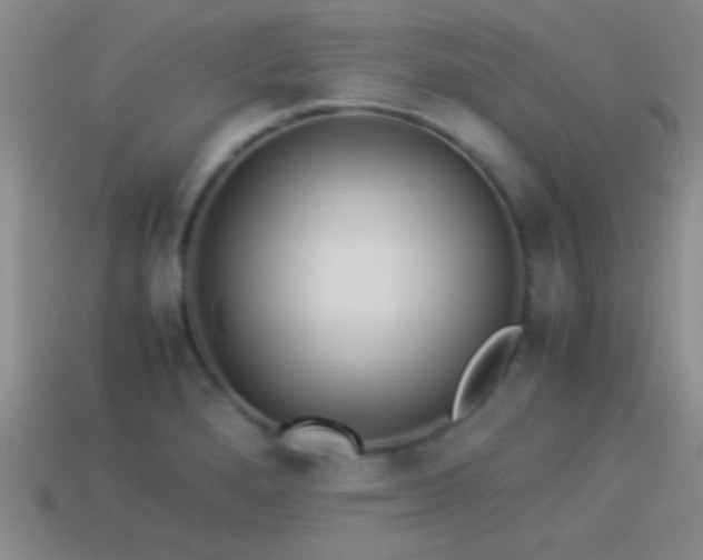X0000114151280200910151536
