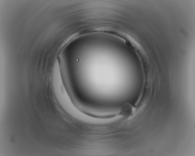 X0000114151281200910151536