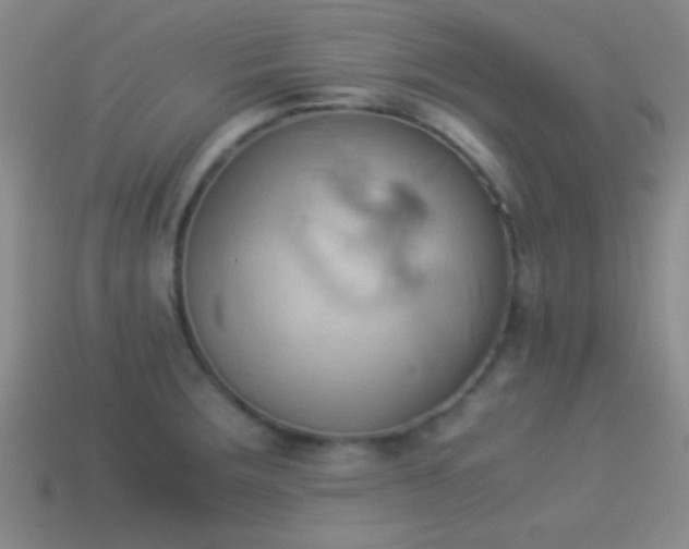 X0000114151283200910151536
