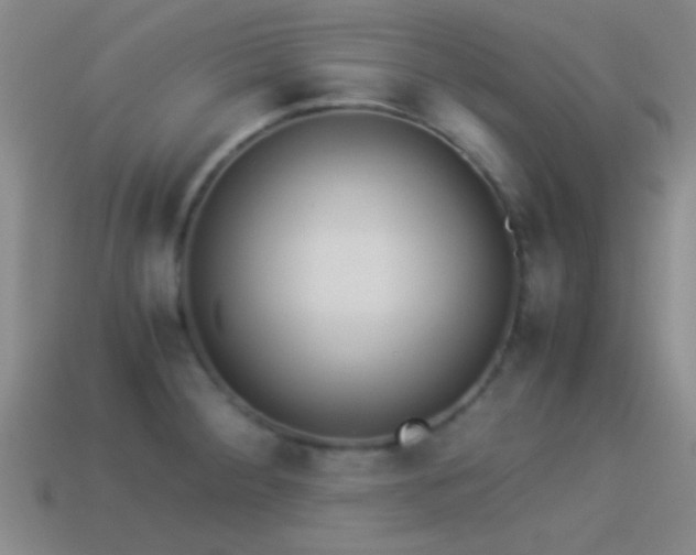 X0000114151284200910151536