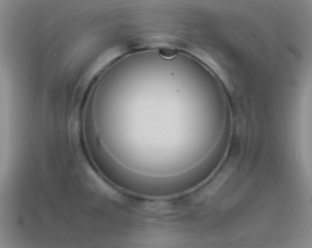 X0000114151285200910151536