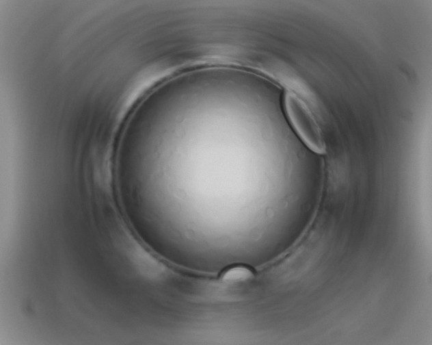 X0000114151288200910151535