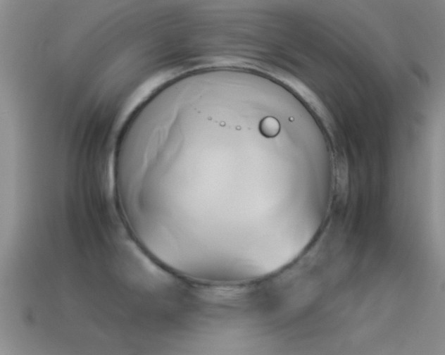 X0000114151294200910151535