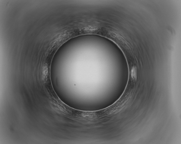 X0000114151299200910151535