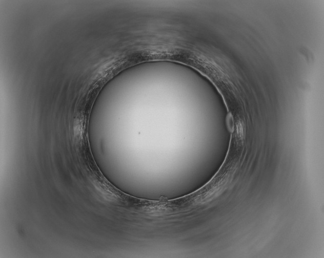 X0000114151300200910151535