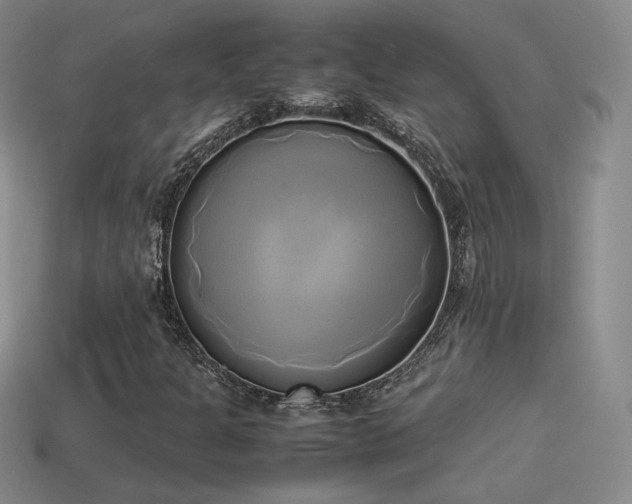 X0000114151301200910151535