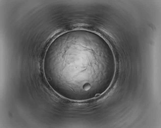X0000114151305200910151535