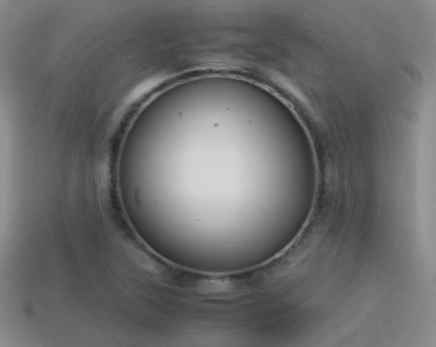 X0000114151315200910151535