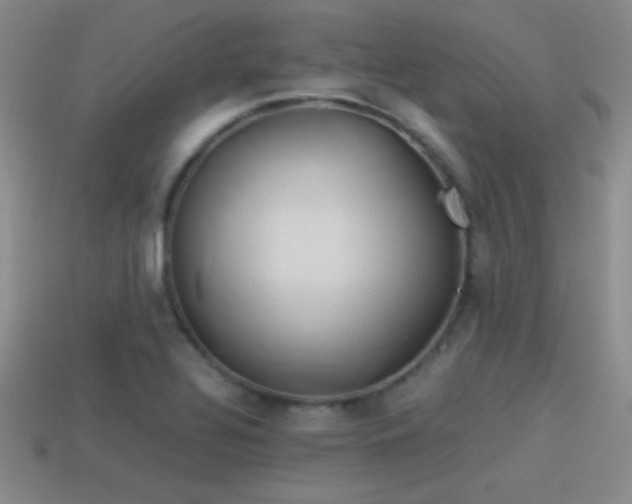 X0000114151320200910151535