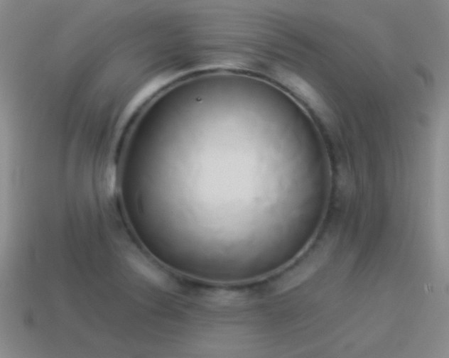 X0000114151324200910151535