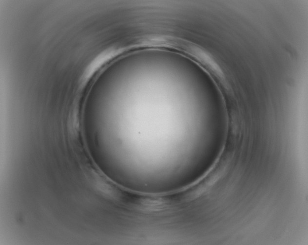 X0000114151328200910151535