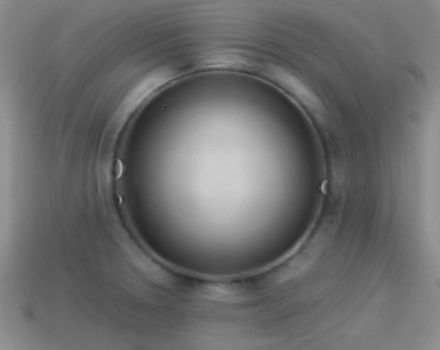 X0000114151330200910151535