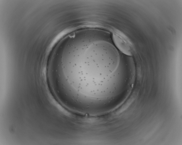 X0000114151334200910151535