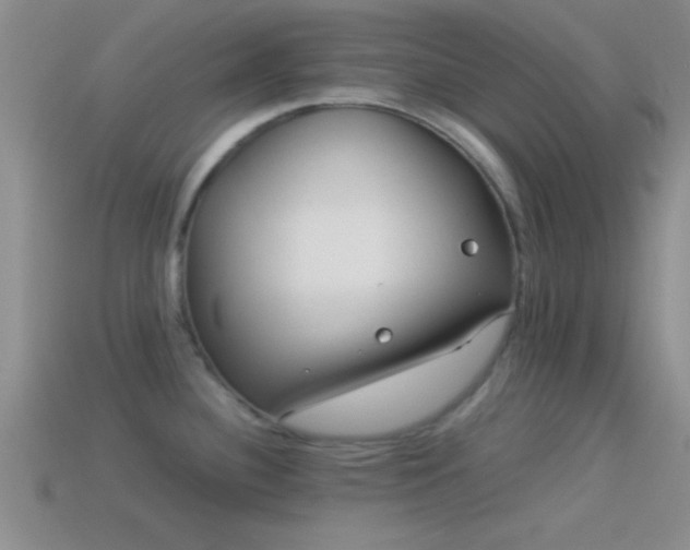 X0000114151340200910151535