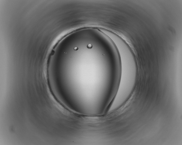 X0000114151342200910151535
