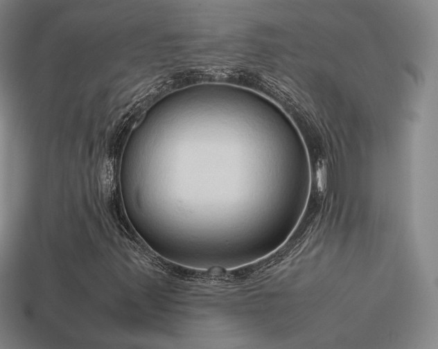 X0000114151347200910151535