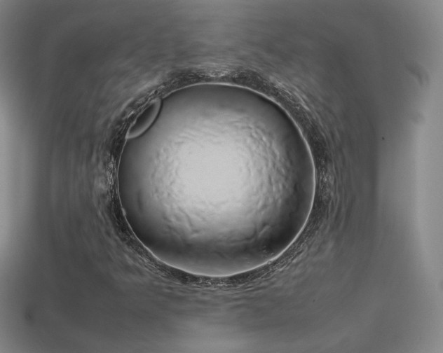 X0000114151349200910151535
