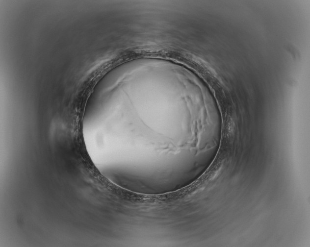 X0000114151350200910151535