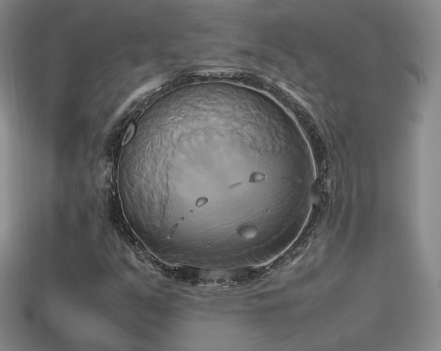 X0000114151351200910151534