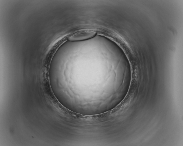 X0000114151352200910151534