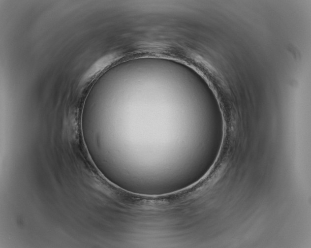 X0000114151354200910151534